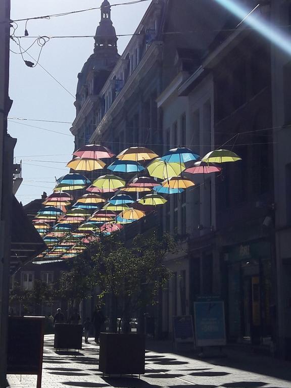 Lille Centre Ville, Beaux Arts Et Grand Palais, Bienvenue Chez Nestyou Lille Zewnętrze zdjęcie
