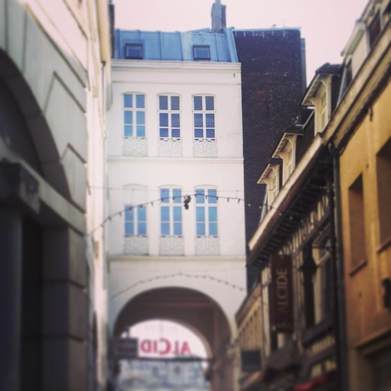 Lille Centre Ville, Beaux Arts Et Grand Palais, Bienvenue Chez Nestyou Lille Zewnętrze zdjęcie